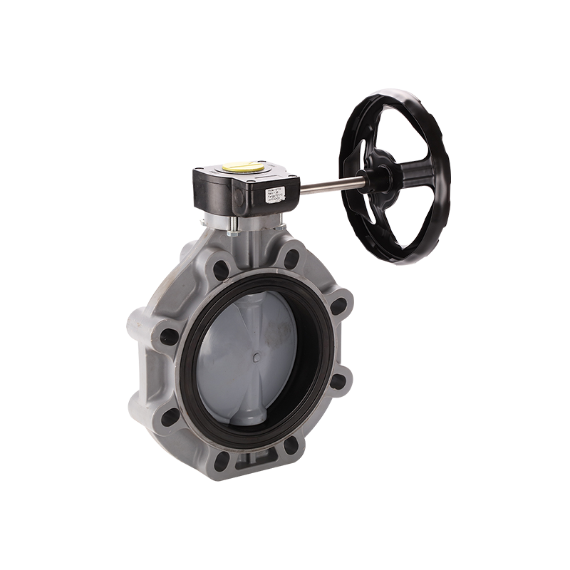 Butterfly Valve-Worm Gear Type